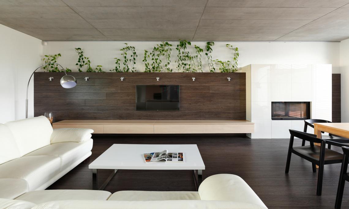 Modern Interior Bungalow With Exposed Concrete Ceiling
